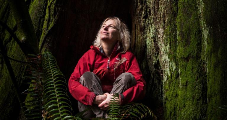 Dr. Suzanne Simard sits at the bottom of a big tree looking up into the sun.