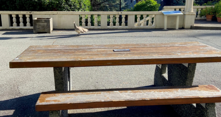 Picnic table on a patio overlooking Hatley Castle on a sunny day