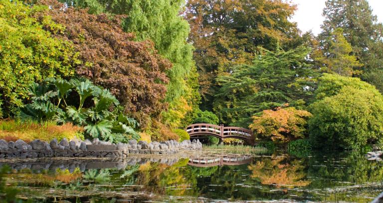 Japanese Garden