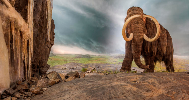 Photo of a wooly mammoth on the right following a road
