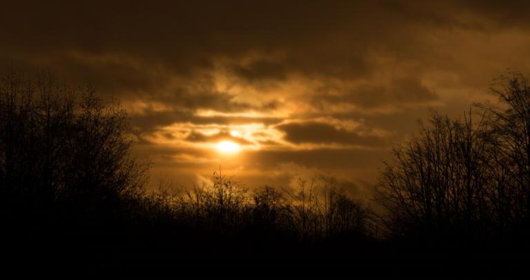 A cloudy orange sunrise over a silhouette of trees.