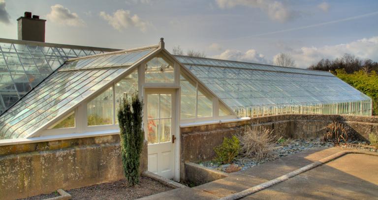 A greenhouse made of glass pictured in a warm summer light.