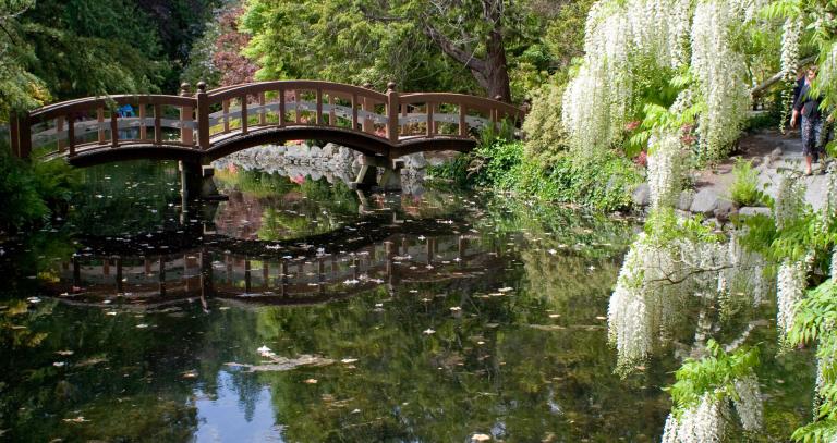 Japanese Garden