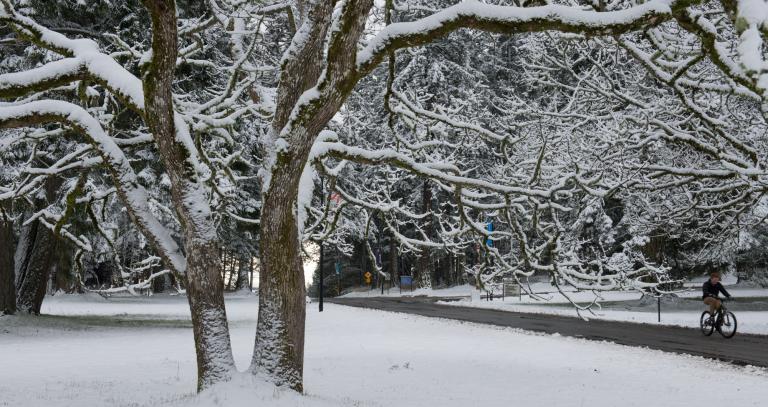 Campus Snow