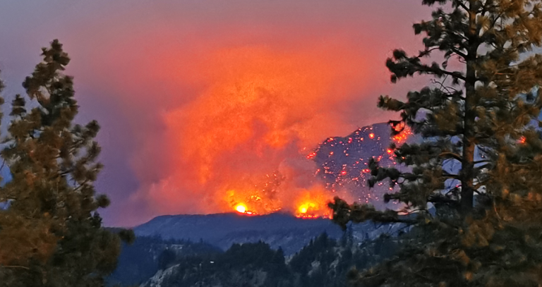 fire burning over a forest