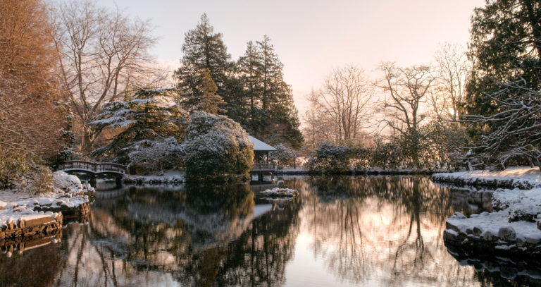 The wintery Japanese Garden pond at Royal Roads.