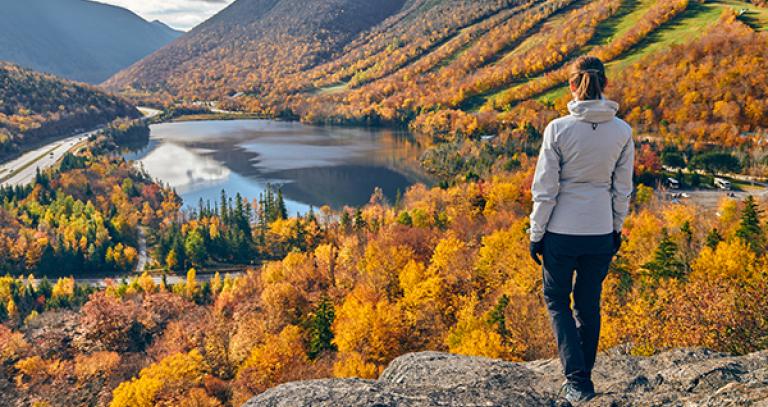 A human looking at a lake from the top of a hill in a forest.