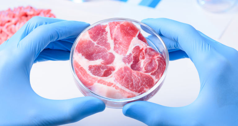 Two gloved hands hold a petri dish of meat.