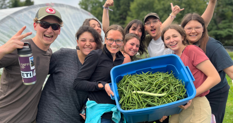 Howlers help sisters Jessie and Rebecca of Spring Tide Farms harvest green beans