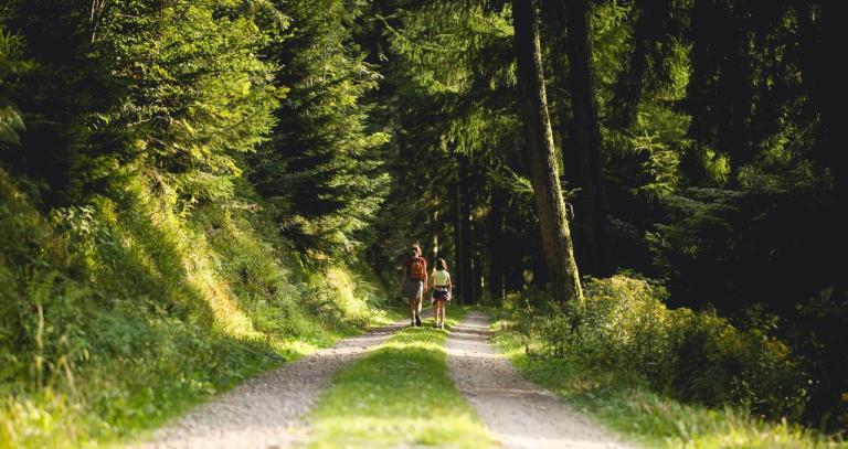 Forest road with two people walking