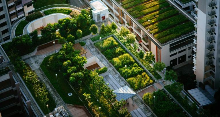 Aerial view of green roof of a high rise building