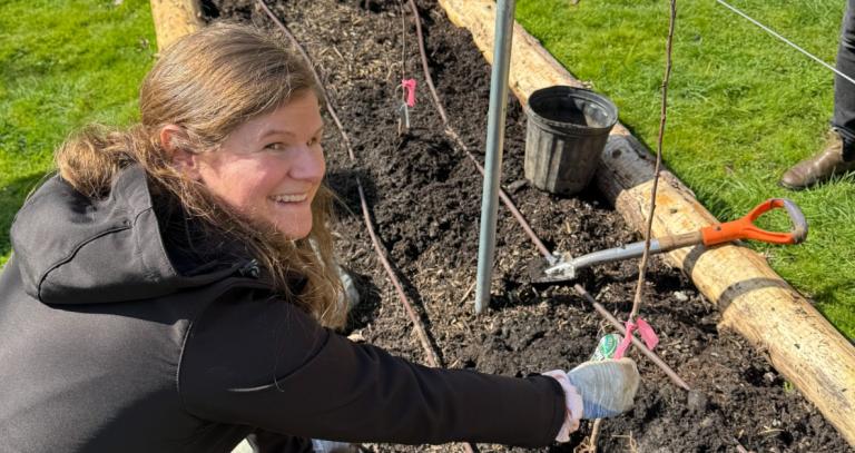 Francesca Jackman planting a fruit tree in the RRU polyculture orchard