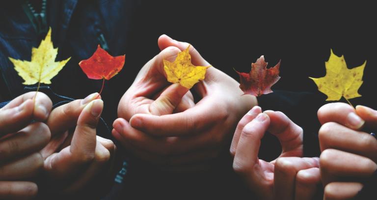 Small maple leaves in different colours being help up by different people. Just their hands are visible.