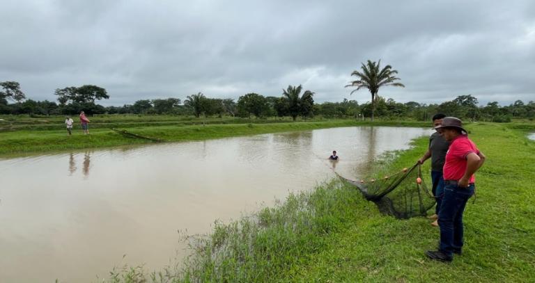 Aquaculture pond in Bolivia