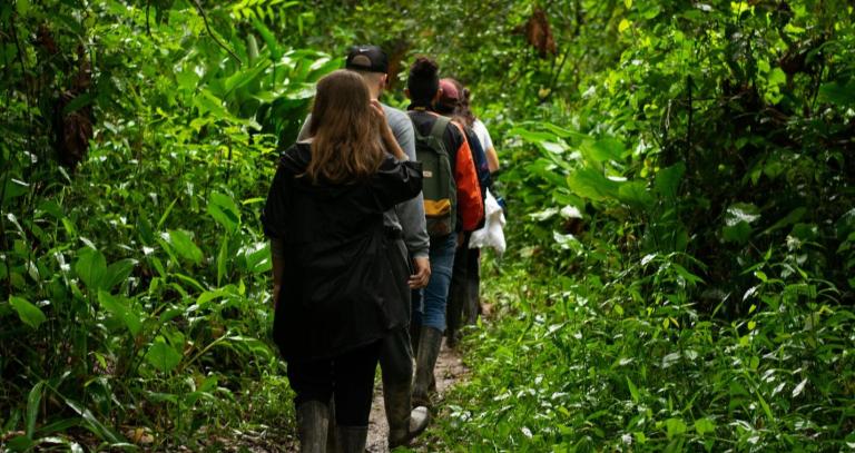Backs of people walking on forest trail