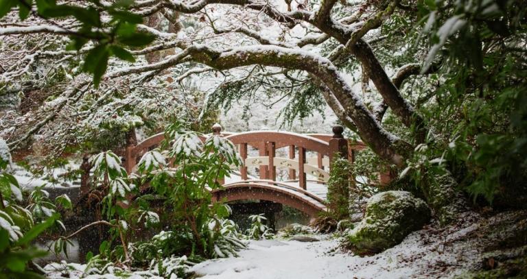 Snowy bridge in Japanese Gardens