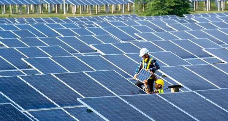 Two technicians working in the middle of a solar panel farm