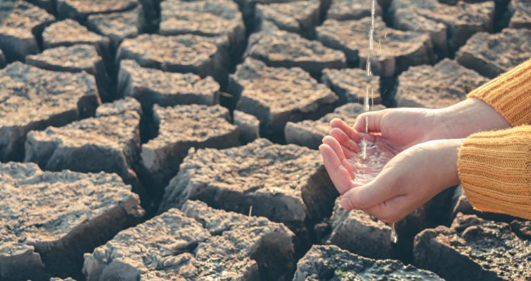 Water droplets in hand on barren ground.
