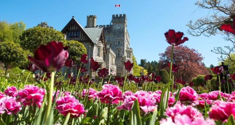 Hatley Castle with pink flowers in the foreground