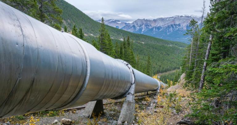A big silver pipeline winds through a forest with mountains in the background