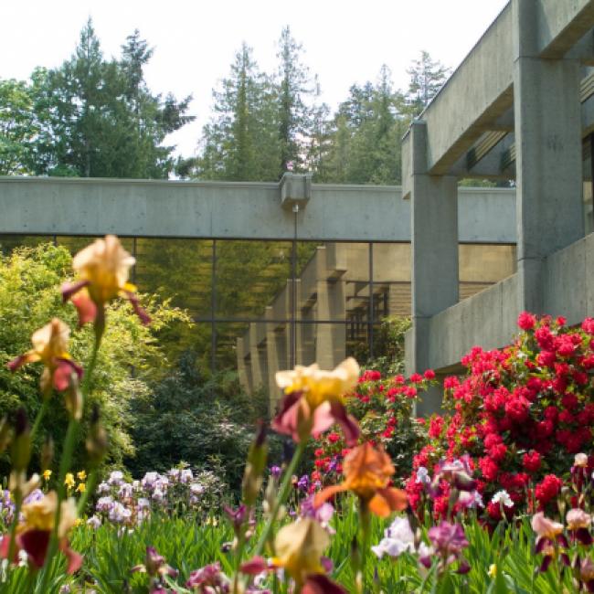 Irises and Rhododendrons grow outside the cement and glass library