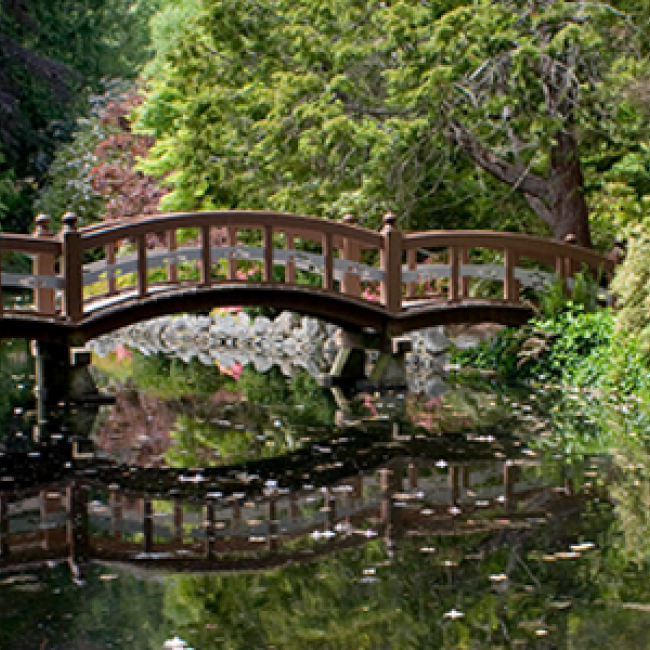 Bridge over water in Japanese Gardens at RRU.