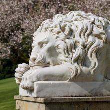 Stone lion with flowering trees in background