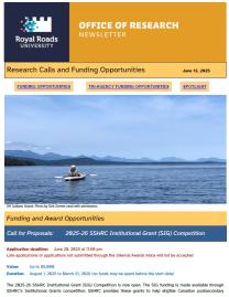 Page 1 of the research ebulletin, with a branded header, decorative image, and text.