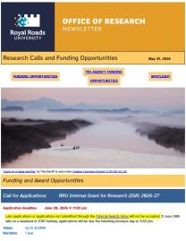 Page 1 of the research ebulletin, with RRU-branded header, decorative image, and text.
