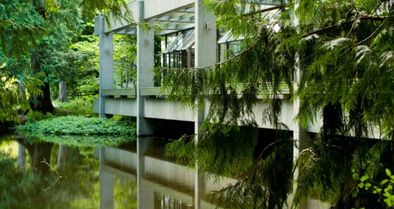 RRU library, trees over water