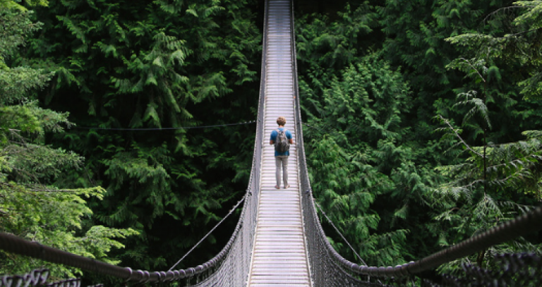 someone on a bridge surrounded by forest